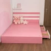 Giường ngủ cho bé gái từ 5-10 tuổi nhựa Đài Loan Chin Huei tiêu chuẩn CH-GN11