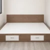 Giường ngủ có hộc chứa đồ nhựa Chin Huei 2.0 plus CH-GN10